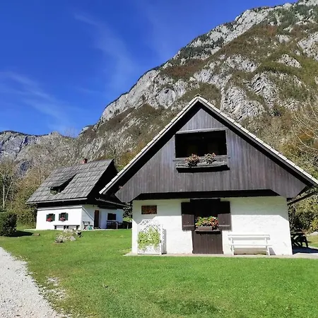 House Damjana ボーヒニ