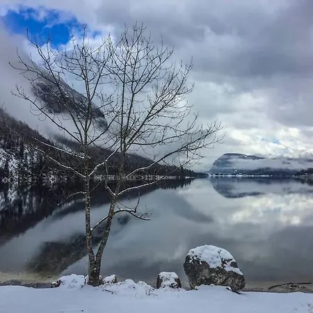 House Damjana בקתה