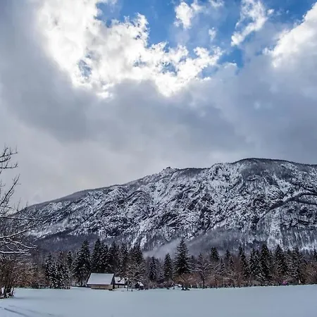 House Damjana * בוהין