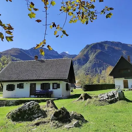 House Damjana * ボーヒニ