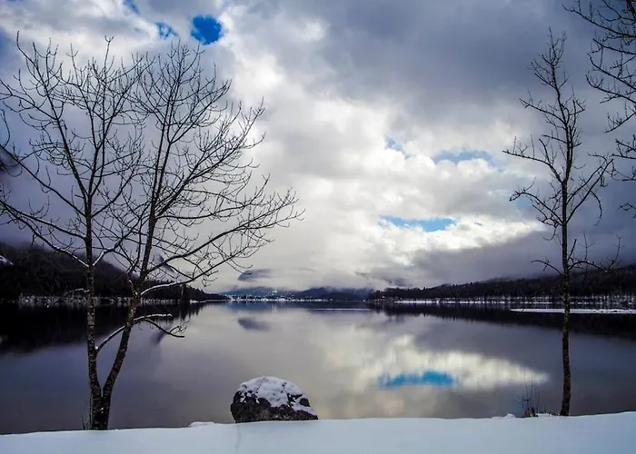 House Damjana Chalet Bohinj