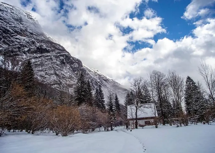 Chalet House Damjana Bohinj