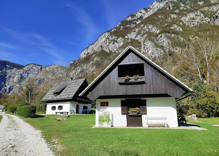 House Damjana בוהין