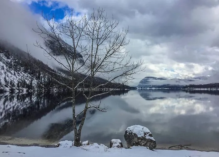 House Damjana Chalet