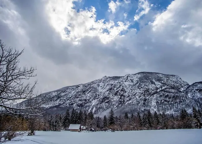 House Damjana * Bohinj